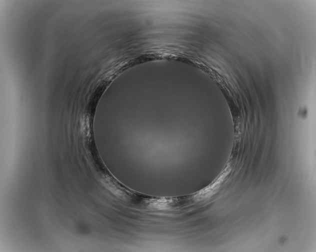 X0000099410182200805161031