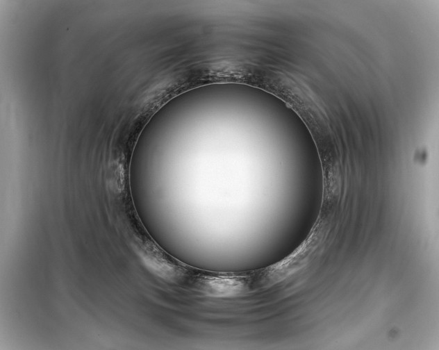 X0000099410183200805161031