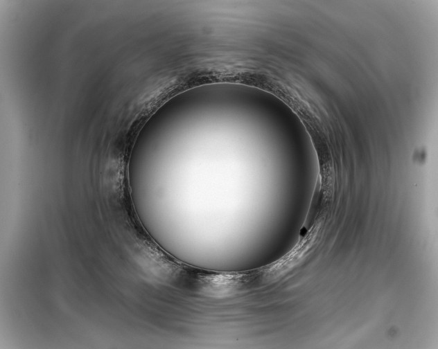 X0000099410184200805161031