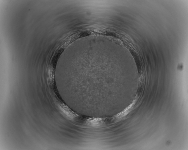 X0000099410186200805161031