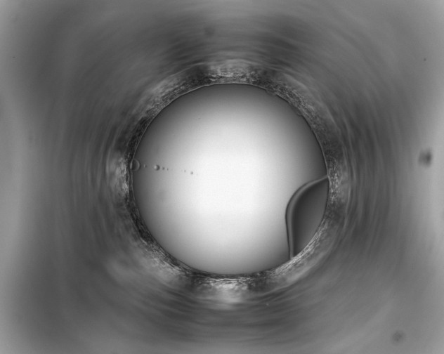 X0000099410187200805161031