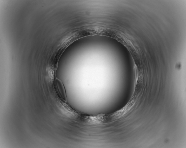 X0000099410188200805161031