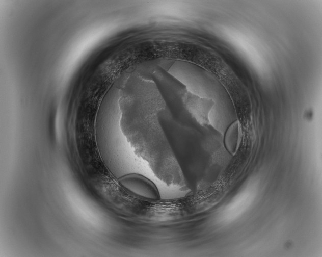 X0000099410189200805161031