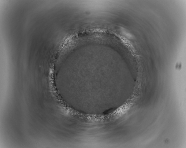 X0000099410192200805161031