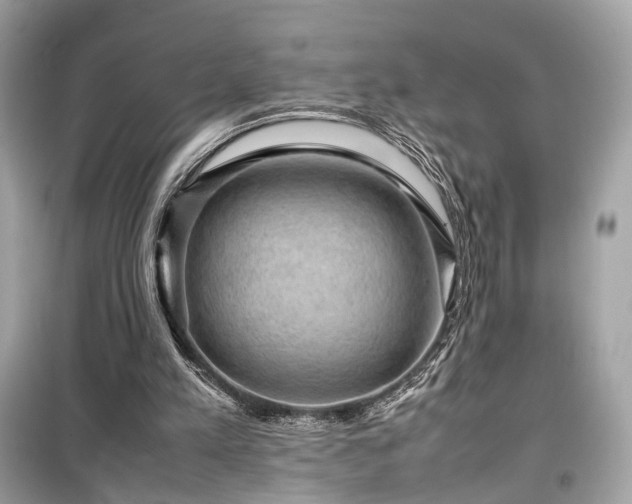 X0000099410197200805161030