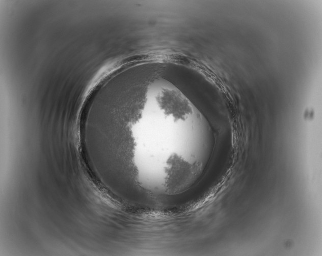 X0000099410198200805161030