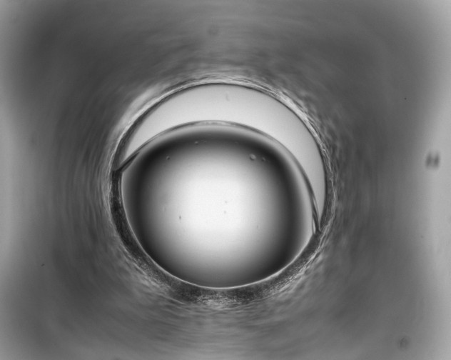 X0000099410199200805161030