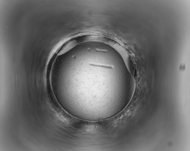 X0000099410200200805161030