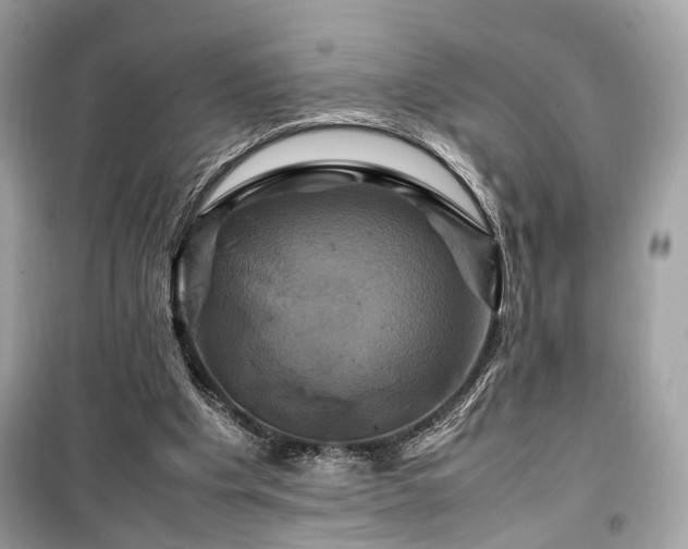 X0000099410201200805161030