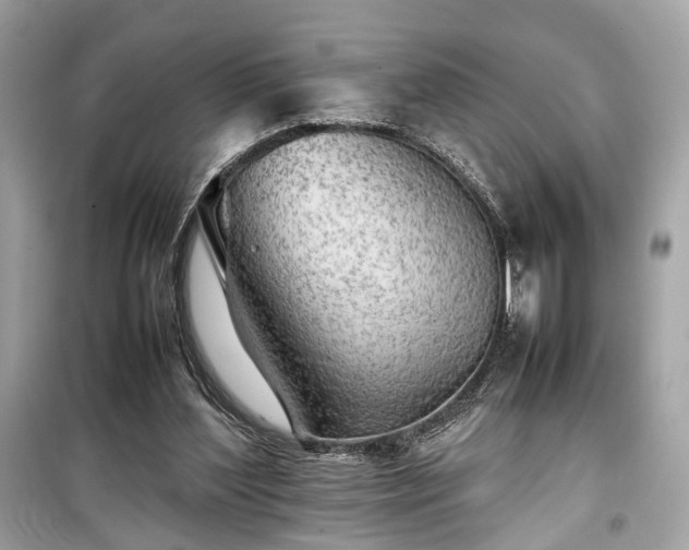 X0000099410204200805161030
