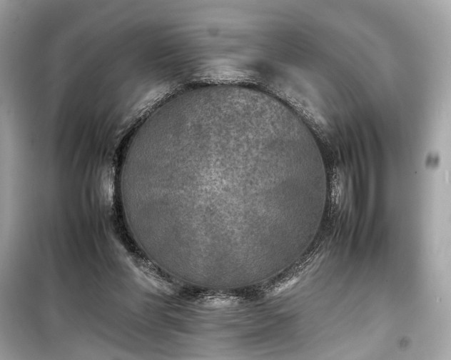 X0000099410206200805161030