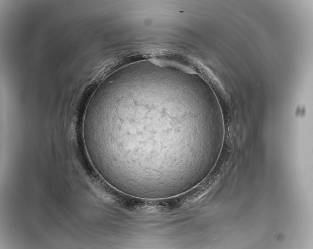 X0000099410209200805161030