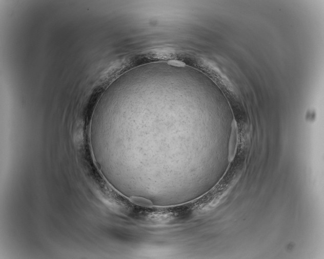 X0000099410213200805161030