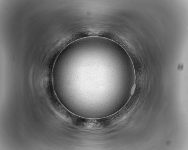 X0000099410215200805161030