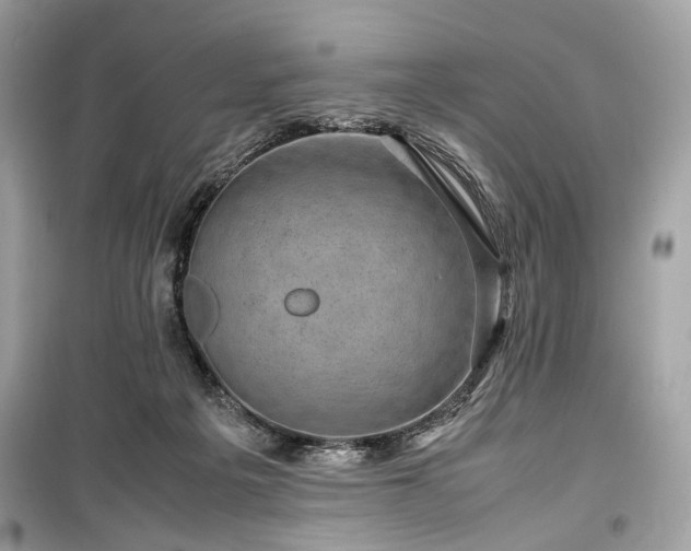 X0000099410217200805161030
