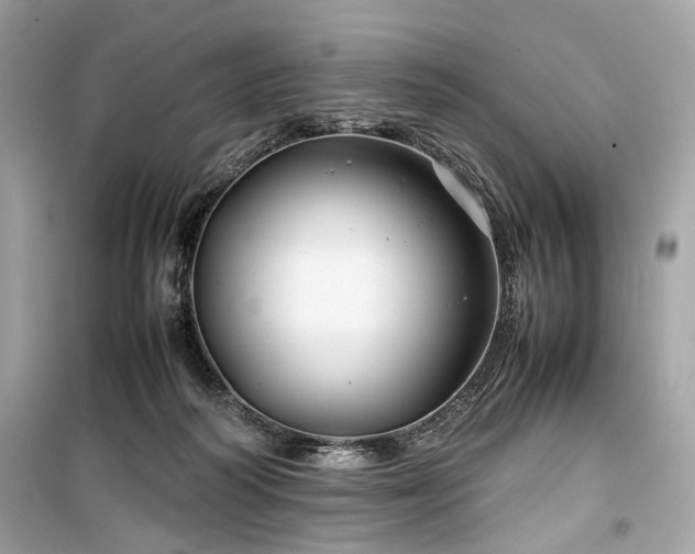 X0000099410218200805161030