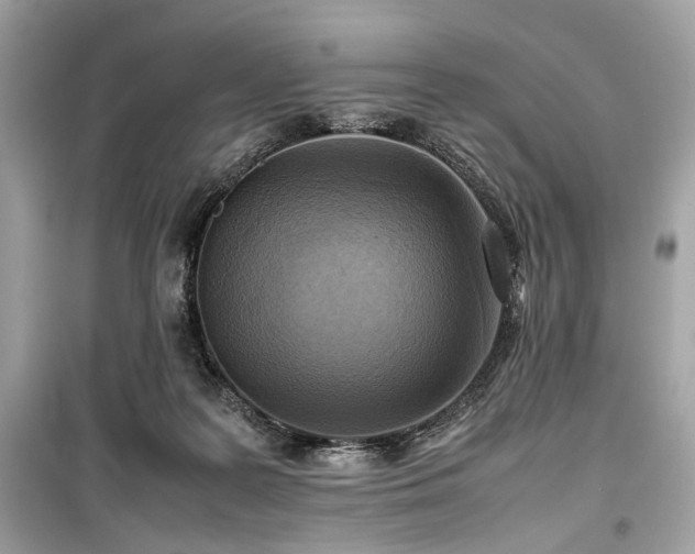 X0000099410219200805161029
