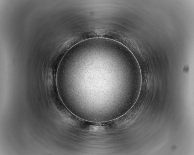 X0000099410220200805161029