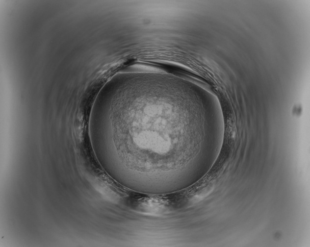 X0000099410223200805161029