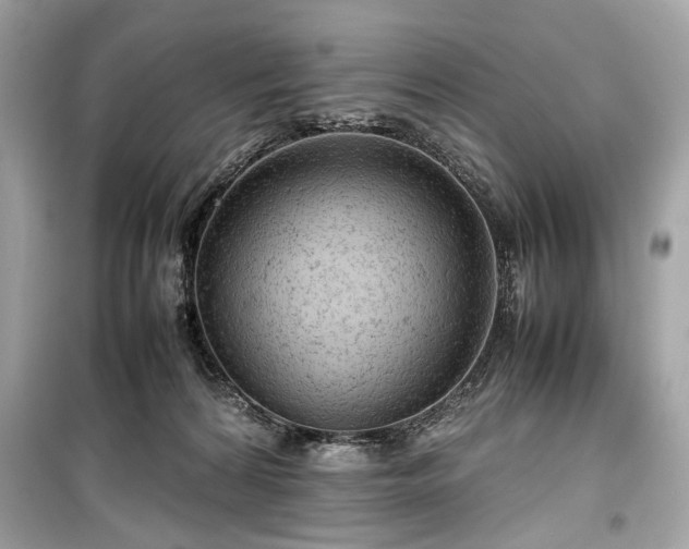 X0000099410224200805161029