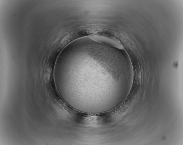 X0000099410227200805161029