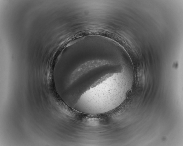X0000099410228200805161029