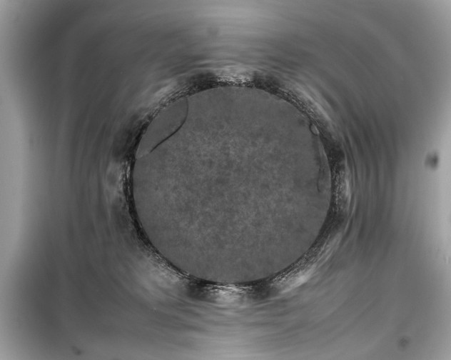 X0000099410229200805161029
