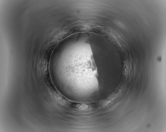 X0000099410230200805161029
