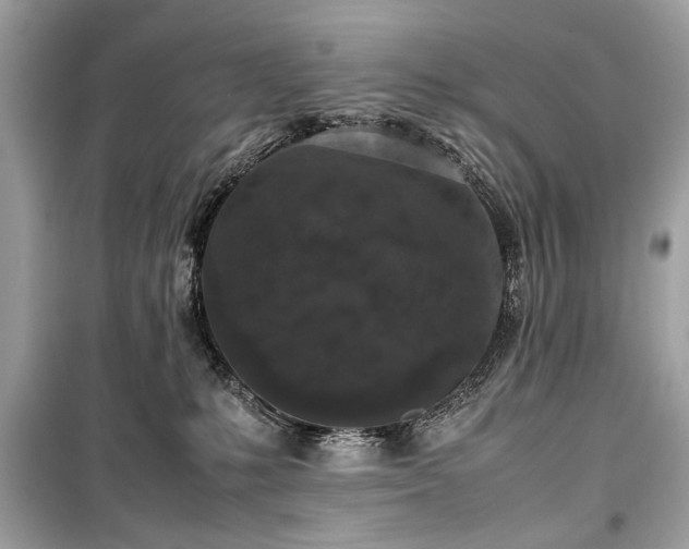 X0000099410231200805161029