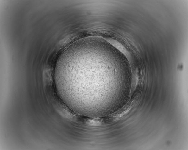 X0000099410232200805161029