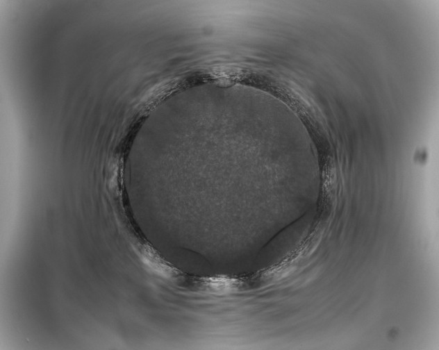 X0000099410233200805161029