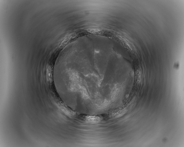 X0000099410234200805161029