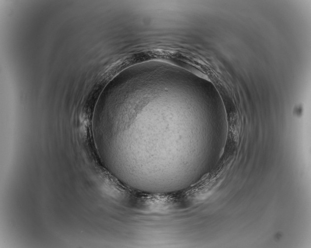 X0000099410235200805161029