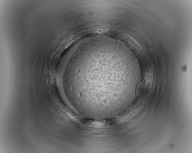 X0000099410236200805161029