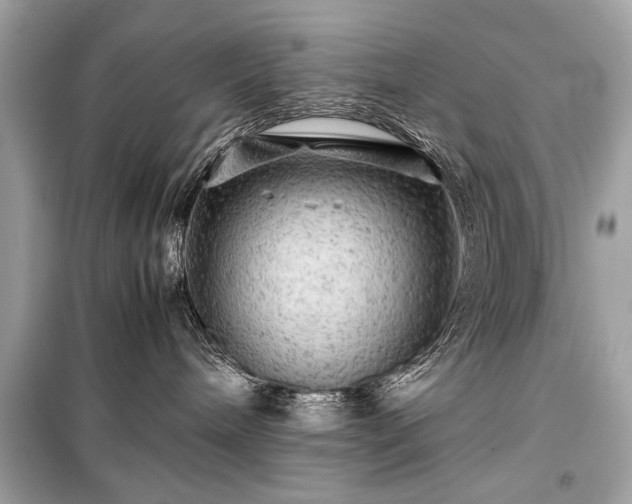 X0000099410240200805161029