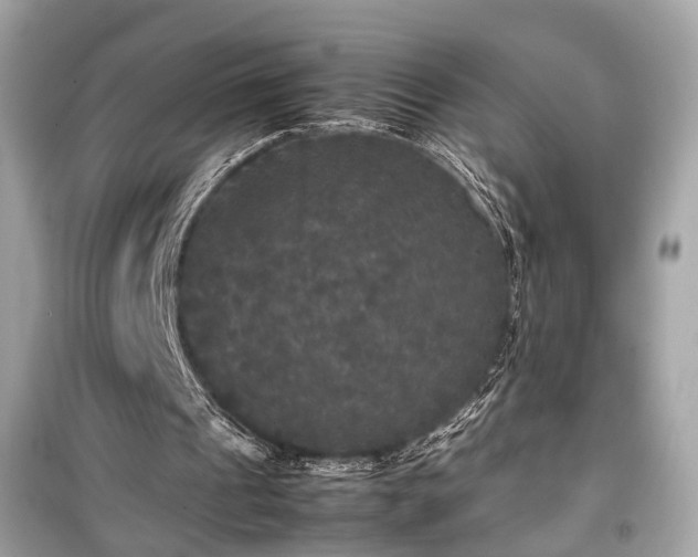 X0000099410241200805161028