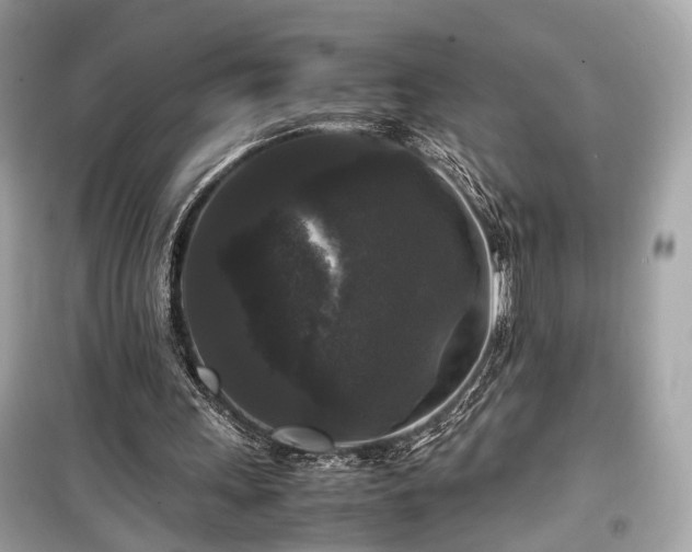 X0000099410243200805161028