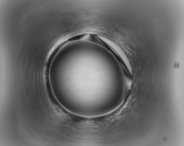 X0000099410244200805161028