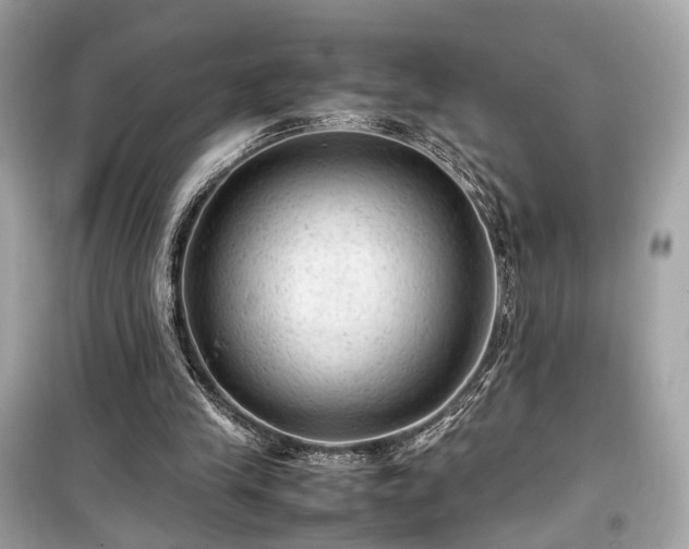 X0000099410245200805161028