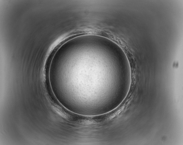 X0000099410246200805161028