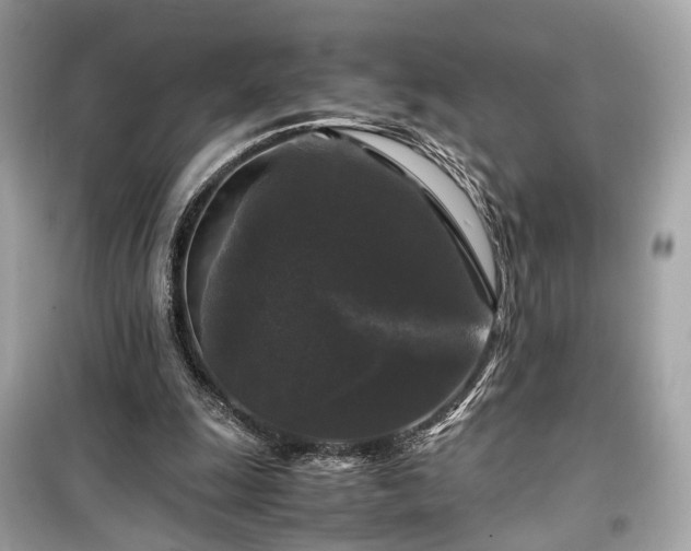 X0000099410247200805161028