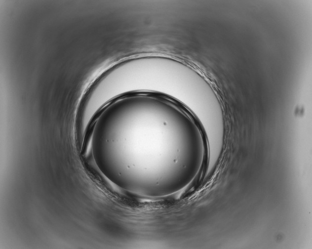 X0000099410248200805161028