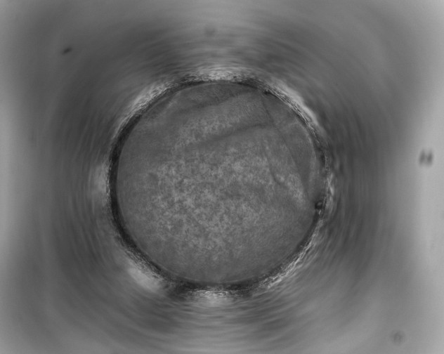X0000099410250200805161028