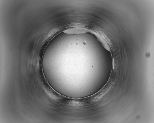 X0000099410253200805161028