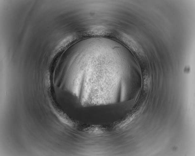 X0000099410254200805161028