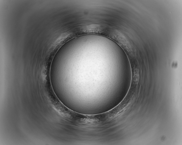 X0000099410255200805161028