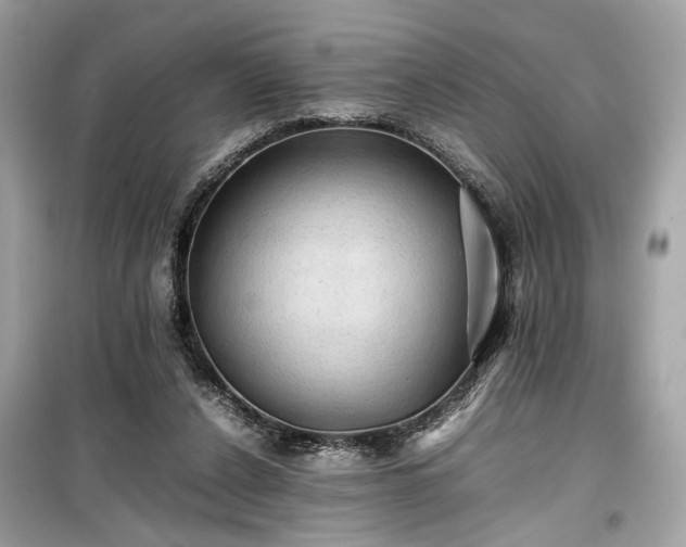 X0000099410256200805161028