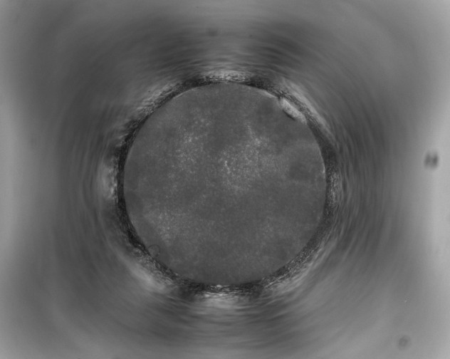 X0000099410259200805161028