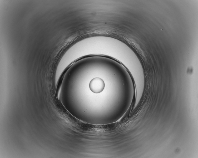 X0000099410260200805161028