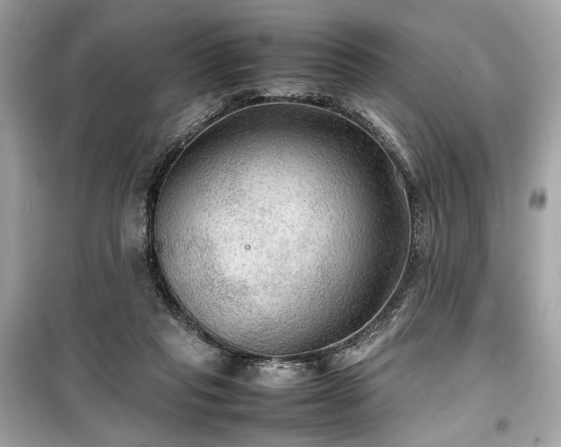 X0000099410261200805161029